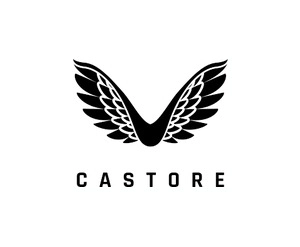 Castore logo