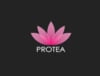 Protea Hair logo